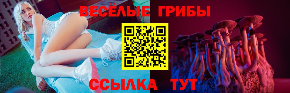 Кстово  Галлюциногенные грибы MAGIC MUSHROOMS  Вход с VPN  Галлюциногенные грибы ЛСД 