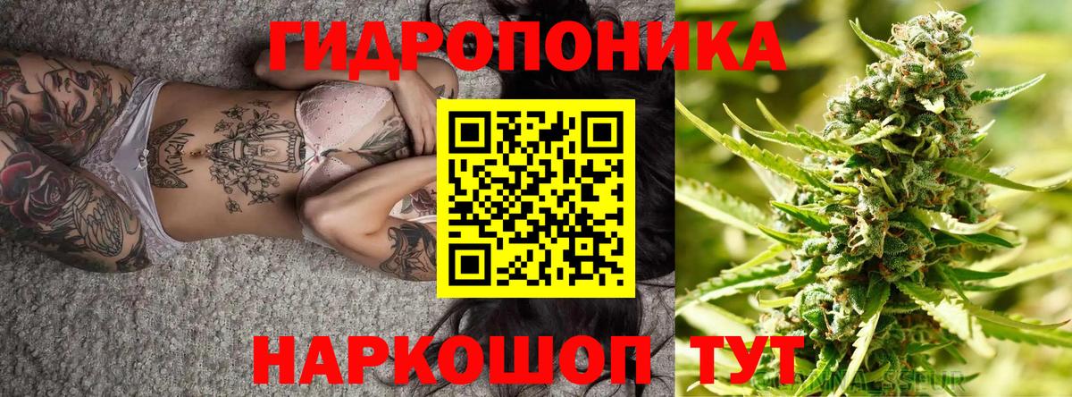 Канабис THC 21%  Каннабис марихуана  Марихуана AK-47  Вход с VPN  Кстово 